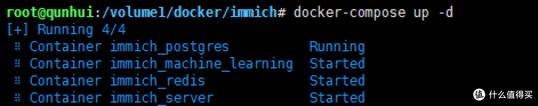 群晖Container Manager下immich数据库恢复记录