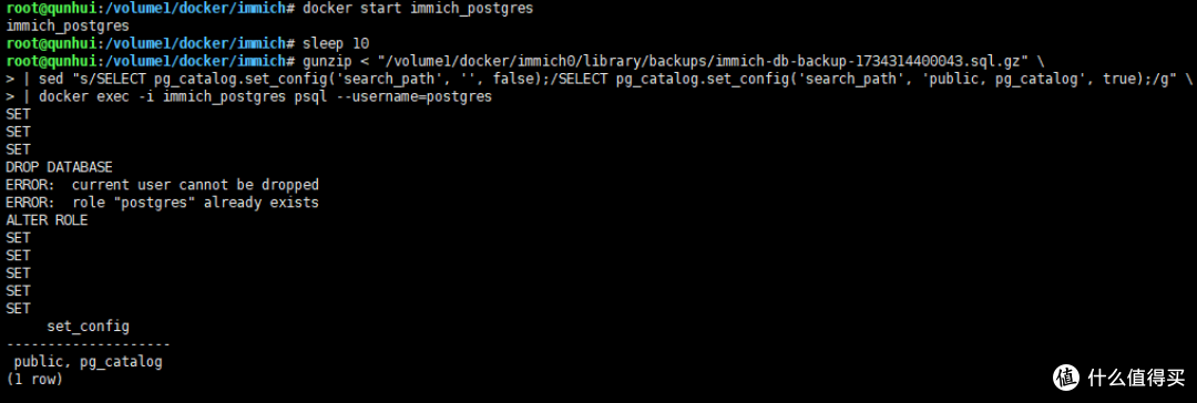 群晖Container Manager下immich数据库恢复记录